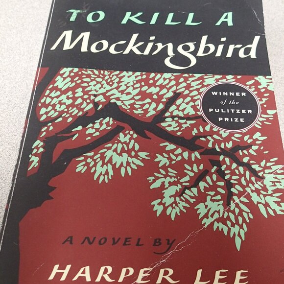To Kill a Mockingbird Paperback - Picture 1 of 4